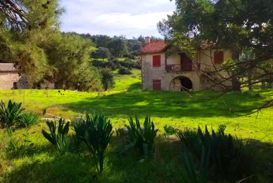 Παλαιό Σπίτι Λανίτη στο χωριό Αλέκτορα