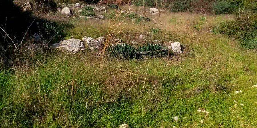 Timios Stavros Church (Ruins) in Alektroa Village