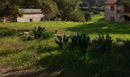 Lanitis Old House in Alektora Village